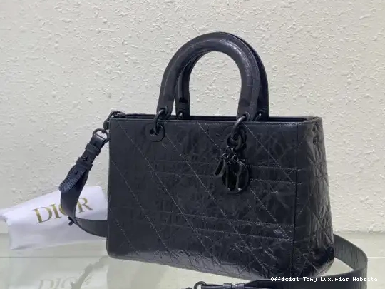 Tony Luxuries D-Sire My BAG-30*20*13CM ABCdiro LADY diro 0513